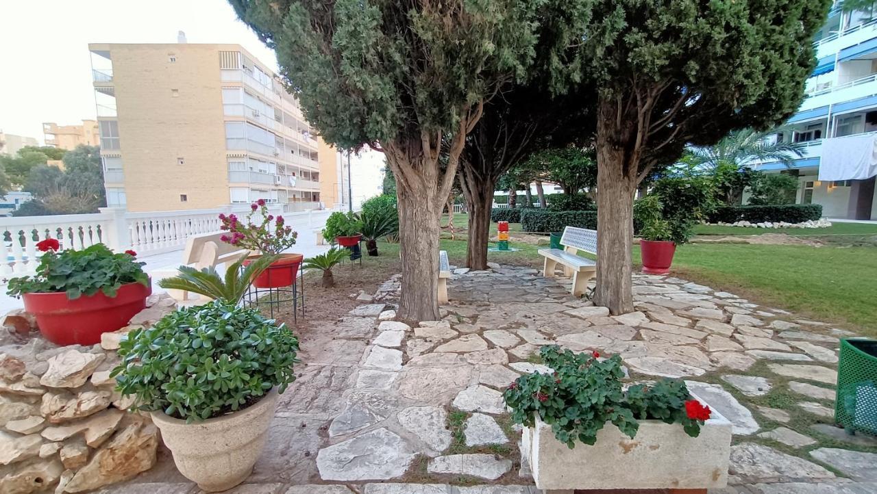 阿利坎特Apartamento Antonio De Alacant Aaa公寓 外观 照片